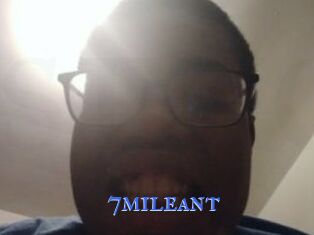 7mileant