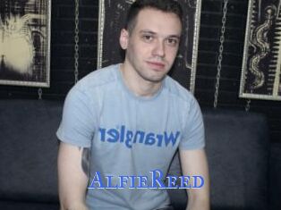 AlfieReed
