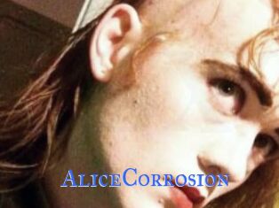 AliceCorrosion