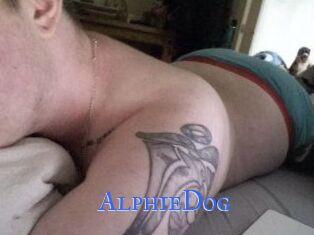 Alphie_Dog