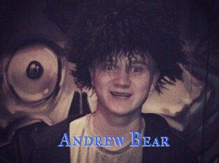 Andrew_Bear