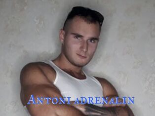 Antoni_adrenal1n