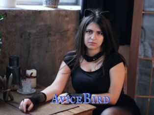 AviceBird