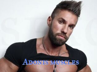Adonis_muscles