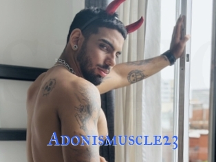 Adonismuscle23