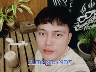 Aidenlandy