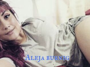 Aleja_burnig