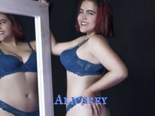 Alicerey