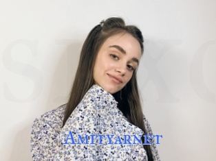 Amityarnet
