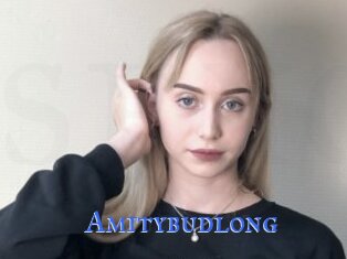 Amitybudlong