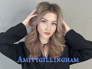 Amitygillingham