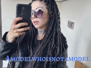 Amodelwhoisnotamodel