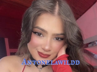 Antonelawildd