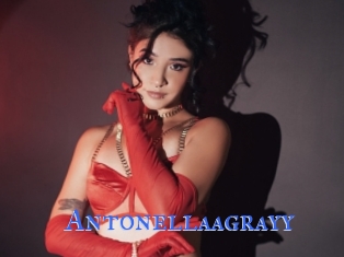 Antonellaagrayy