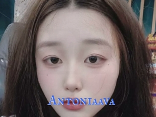 Antoniaava