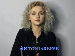 Antoniabeese