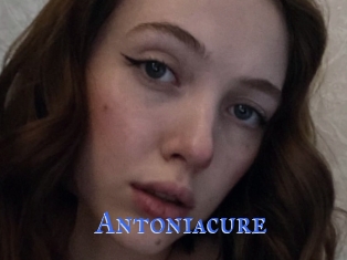 Antoniacure