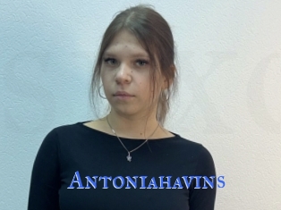 Antoniahavins