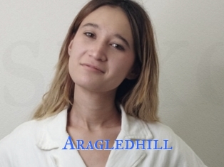 Aragledhill