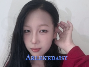 Arlenedaisy
