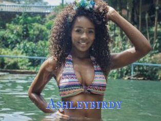 Ashleybirdy