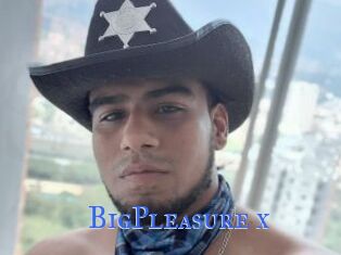 BigPleasure_x