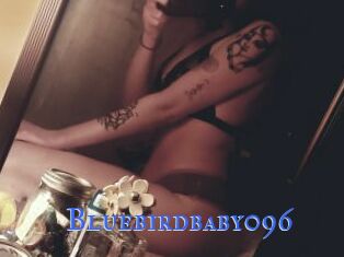 Bluebirdbaby096