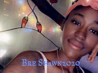 Bre_Shawn2020