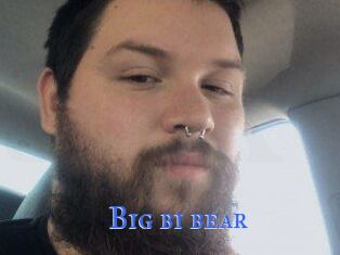 Big_bi_bear