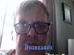 Bigbear61