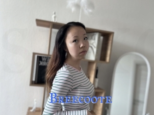 Breecoote