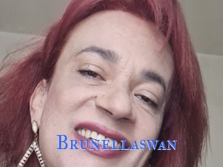 Brunellaswan