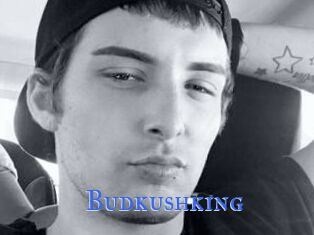 Budkushking