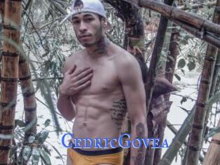 CedricGovea