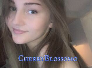 CherryBlossom0