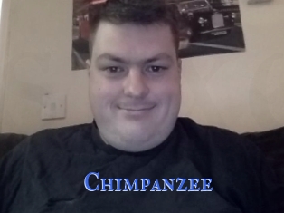 Chimpanzee