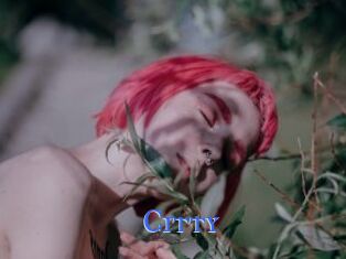 Citty