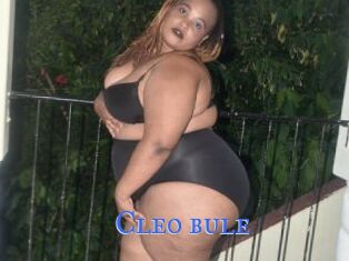 Cleo_bule