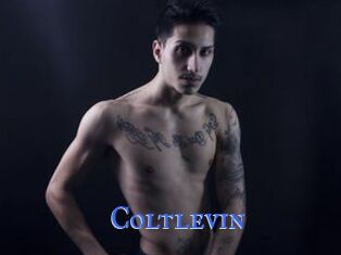 Coltlevin