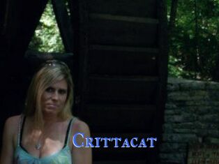 Crittacat