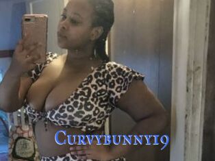 Curvybunny19