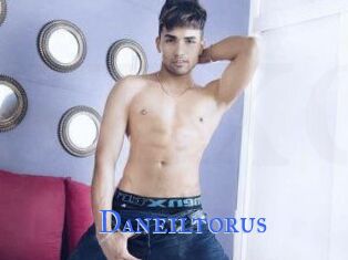 Daneil_torus
