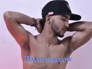 David_harlow