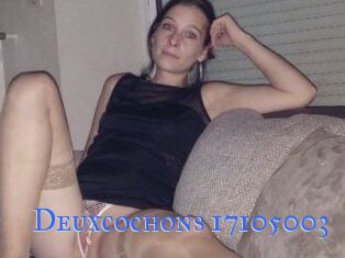 Deuxcochons