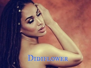 Didiflower
