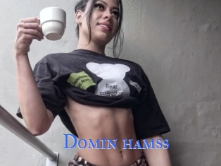 Domin_hamss