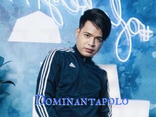 Dominantapolo