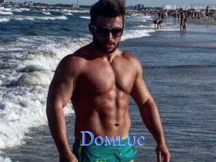 Domluc