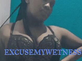 EXCUSEMYWETNESS