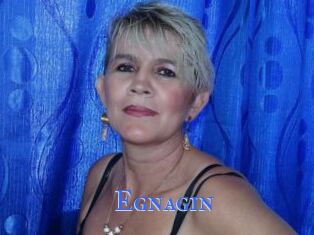 Egnagin